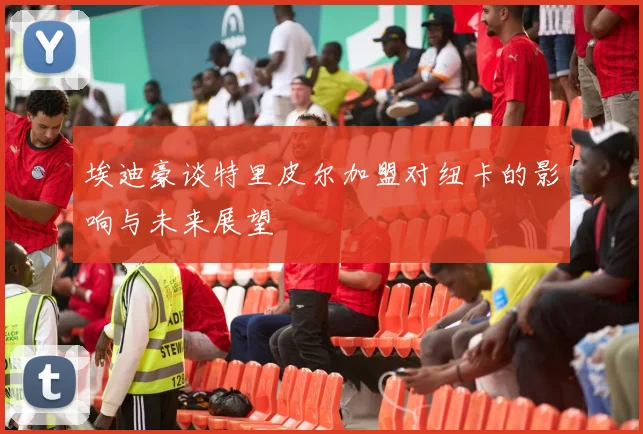埃迪豪谈特里皮尔加盟对纽卡的影响与未来展望